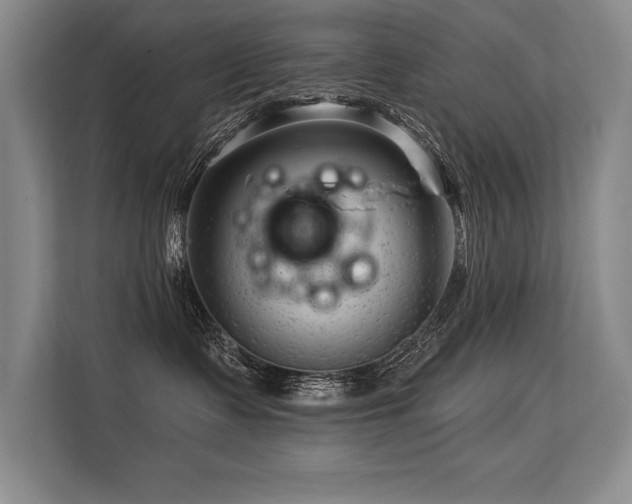 X0000113580335200909181312