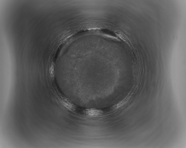 X0000113580336200909181312