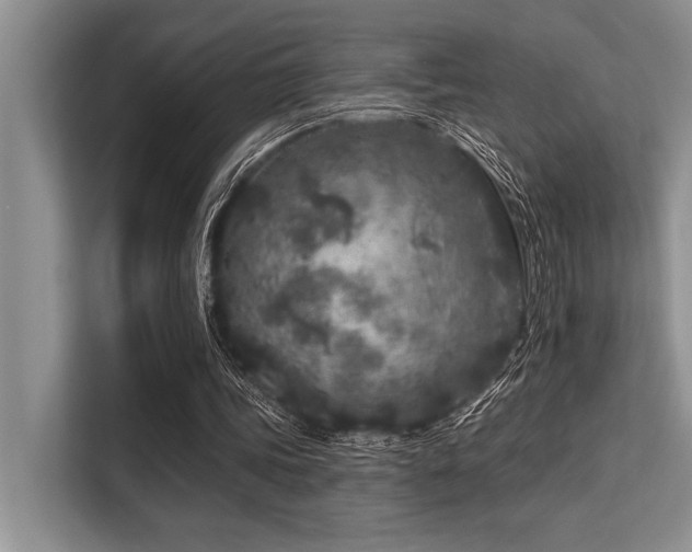 X0000113580339200909181311
