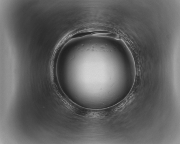 X0000113580341200909181311