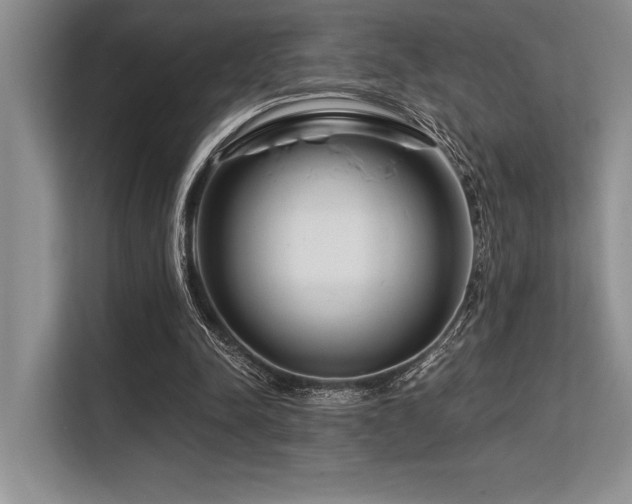 X0000113580342200909181311