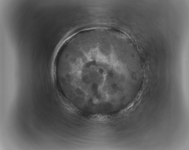 X0000113580343200909181311