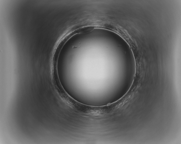 X0000113580344200909181311