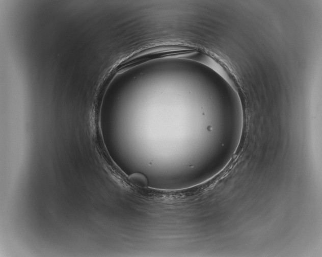 X0000113580345200909181311