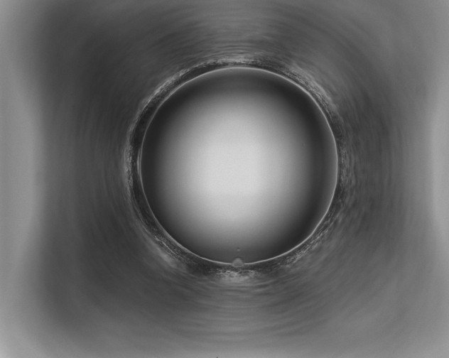 X0000113580346200909181311