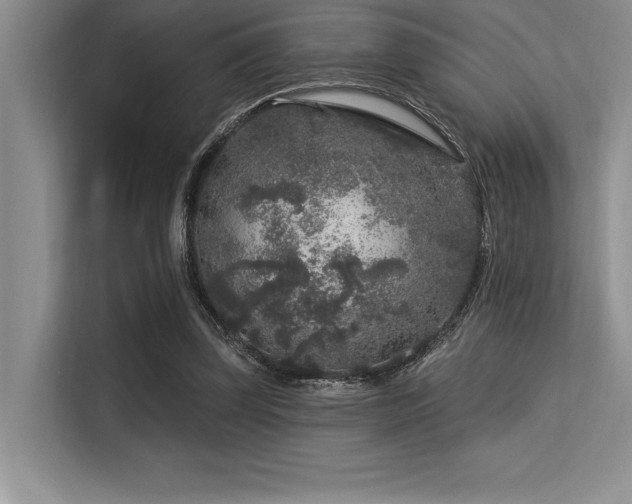 X0000113580347200909181312