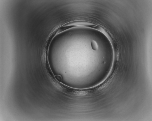 X0000113580349200909181312