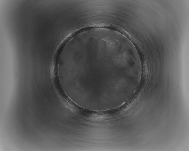 X0000113580351200909181312