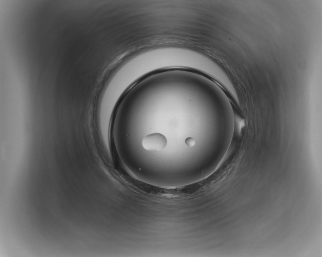 X0000113580352200909181312
