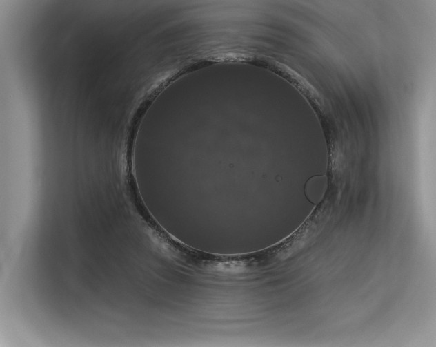 X0000113580353200909181312