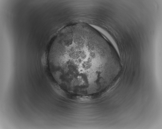 X0000113580359200909181312
