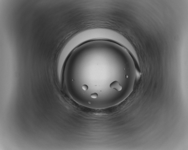 X0000113580360200909181312
