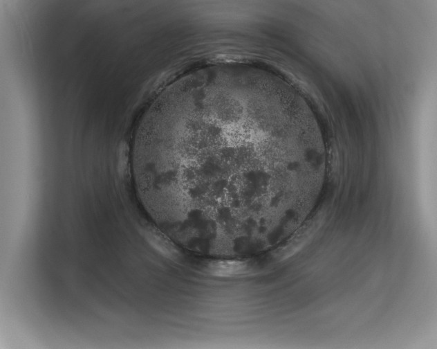 X0000113580361200909181312