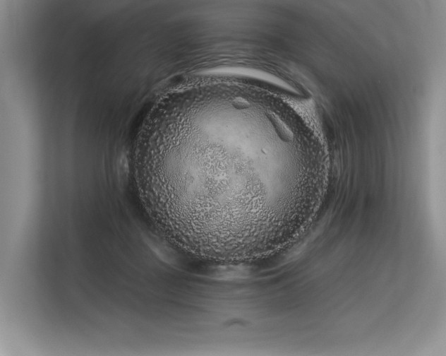 X0000113580363200909181312