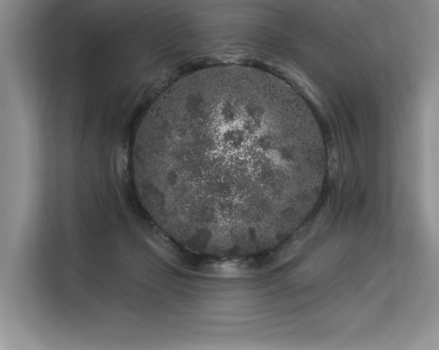 X0000113580365200909181312