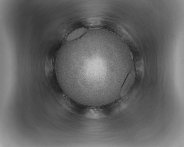 X0000113580372200909181312