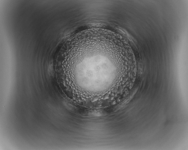 X0000113580377200909181312