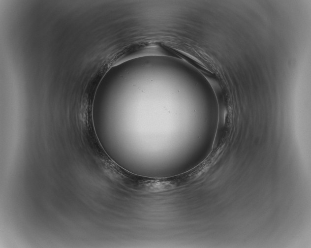 X0000113580379200909181312