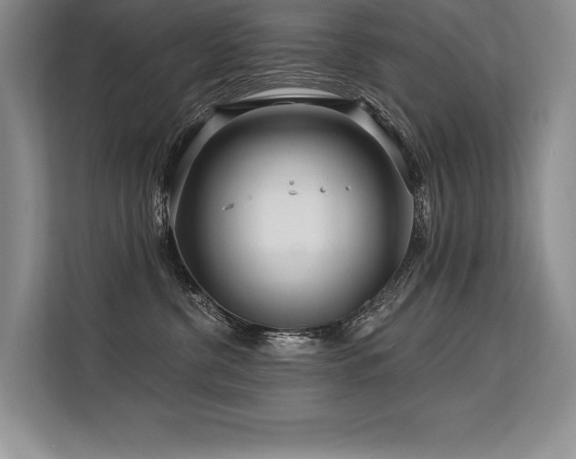X0000113580380200909181312