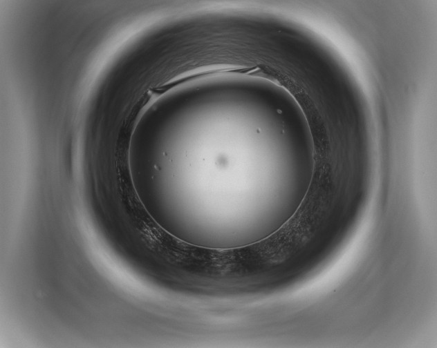 X0000113580382200909181312