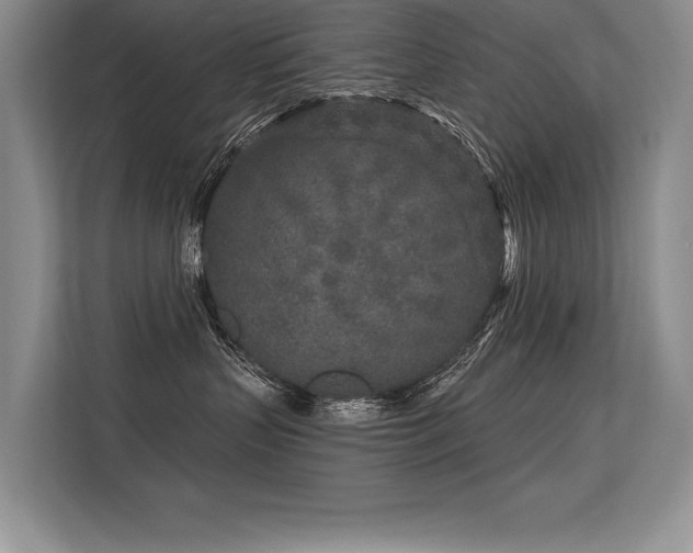 X0000113580383200909181312
