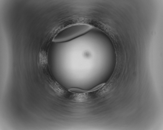 X0000113580384200909181312