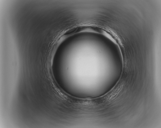 X0000113580385200909181311