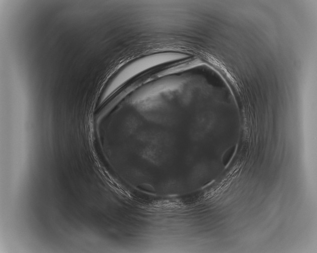 X0000113580386200909181311