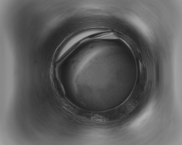 X0000113580387200909181311