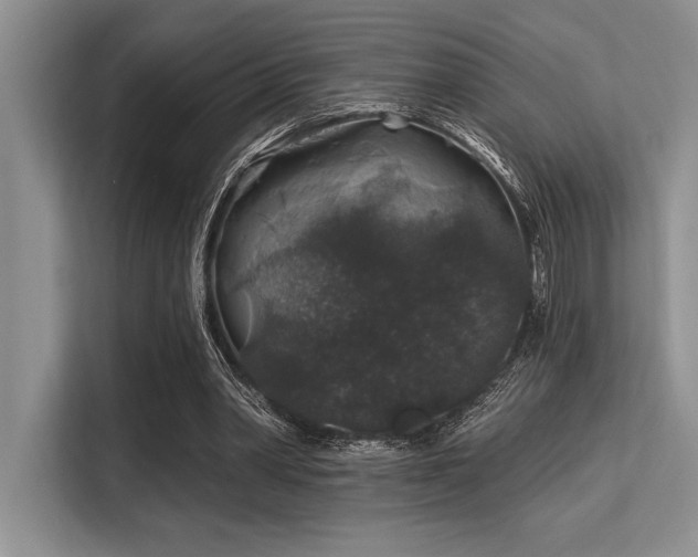 X0000113580390200909181311