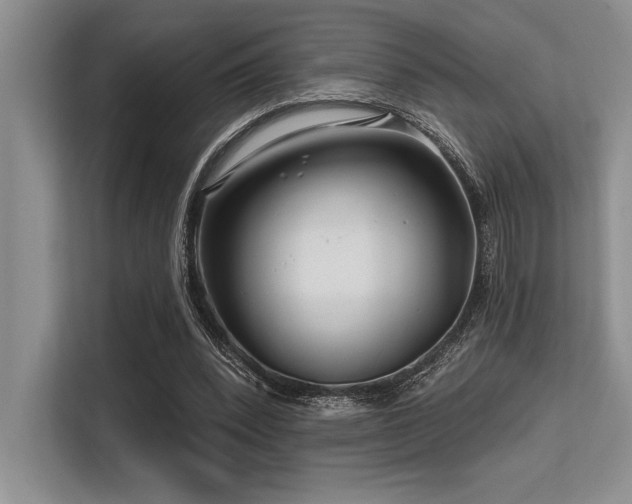 X0000113580392200909181311