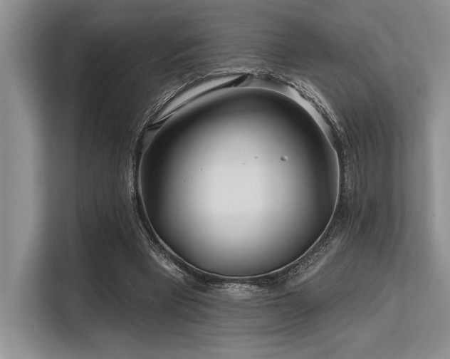 X0000113580393200909181311