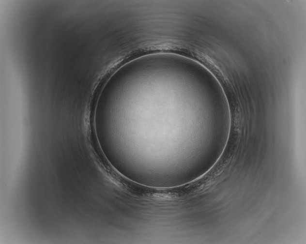 X0000113580394200909181311