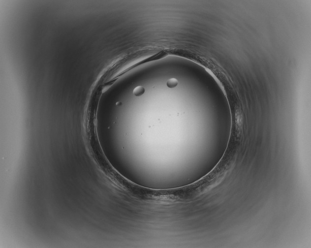 X0000113580396200909181311