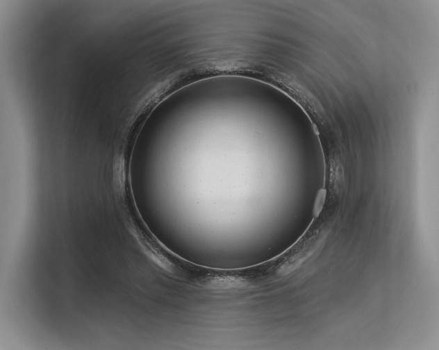 X0000113580397200909181311
