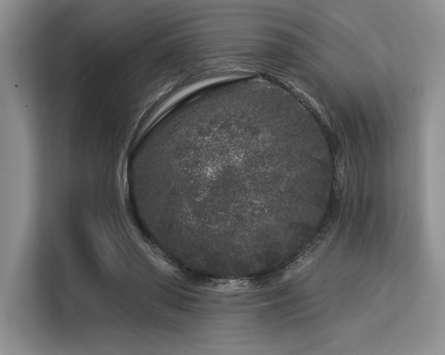 X0000113580398200909181311