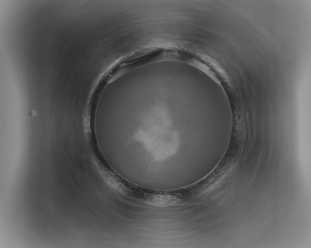 X0000113580399200909181311