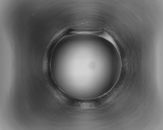 X0000113580400200909181311