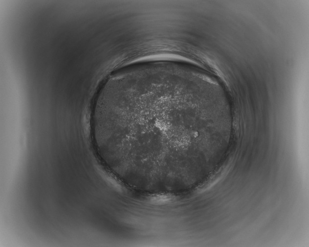 X0000113580402200909181311