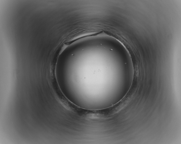 X0000113580408200909181311