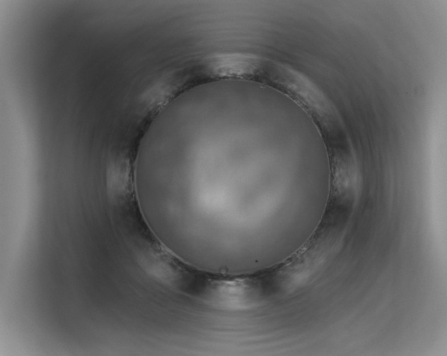 X0000113580411200909181311