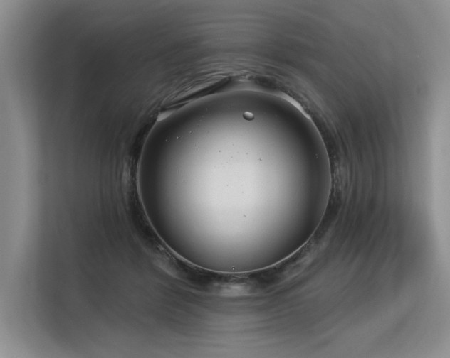 X0000113580412200909181311