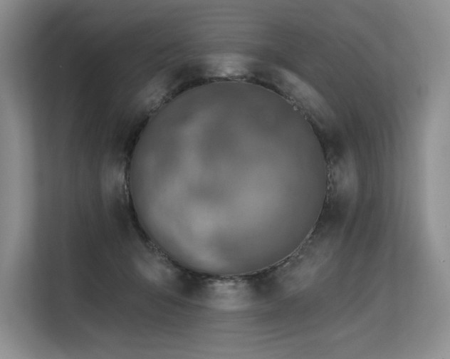 X0000113580415200909181311