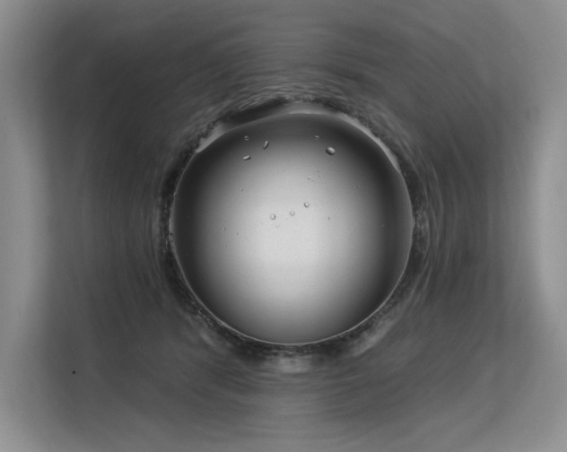 X0000113580416200909181311