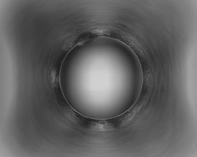 X0000113580420200909181311
