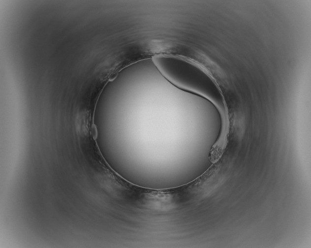 X0000113580421200909181311