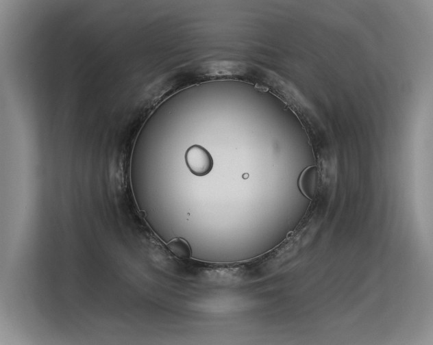 X0000113580422200909181311