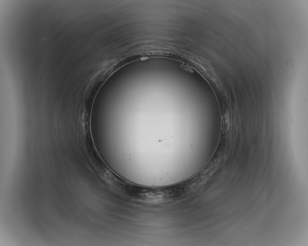 X0000113580423200909181311