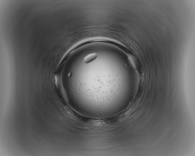 X0000113580424200909181311
