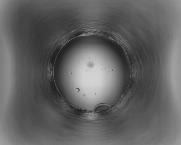 X0000113580425200909181311